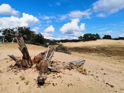 Wekeromse Zand