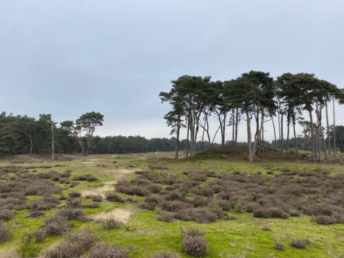 Wekeromse Zand