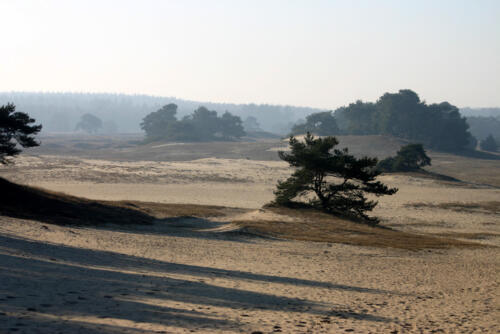 Wekeromse zand